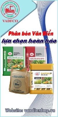 Công ty Cổ Phần Phân Lân Nung Chảy Văn Điển