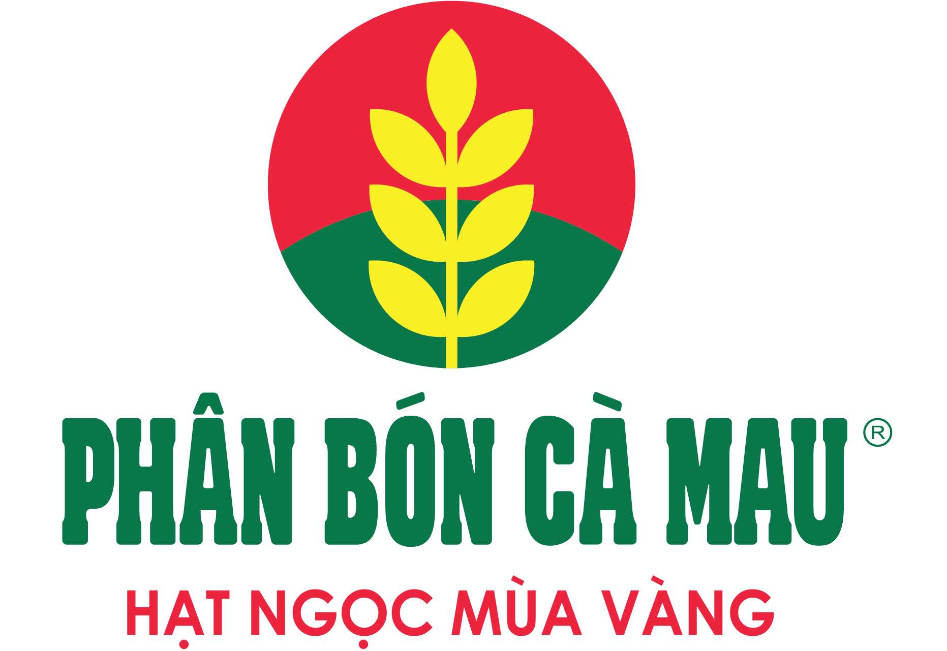 Phân bón Cà Mau